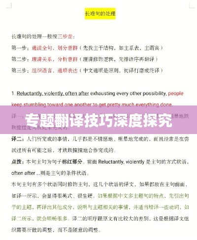 专题翻译技巧深度探究