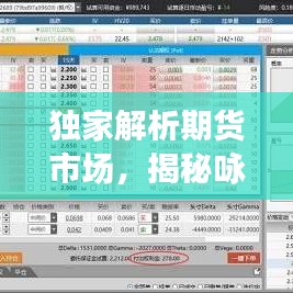独家解析期货市场，揭秘咏春策略，掌握投资先机