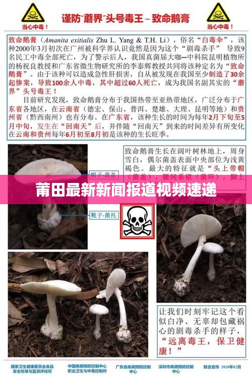 莆田最新新闻报道视频速递