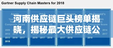 河南供应链巨头榜单揭晓，揭秘最大供应链公司排名