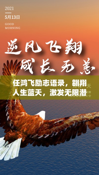 任鸿飞励志语录，翱翔人生蓝天，激发无限潜能！