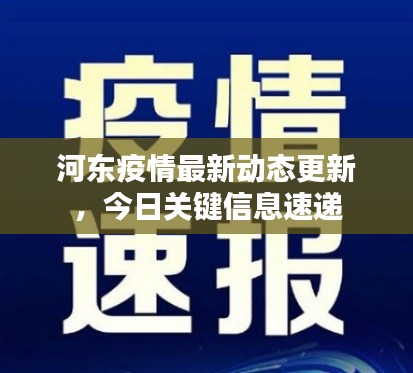河东疫情最新动态更新，今日关键信息速递