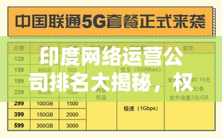 印度网络运营公司排名大揭秘，权威榜单，不容错过！