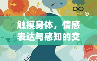 触摸身体，情感表达与感知的交融之道