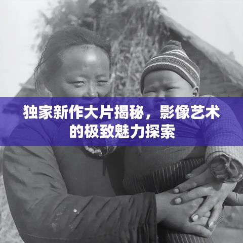 独家新作大片揭秘，影像艺术的极致魅力探索