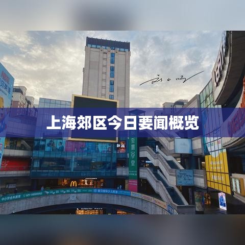 上海郊区今日要闻概览
