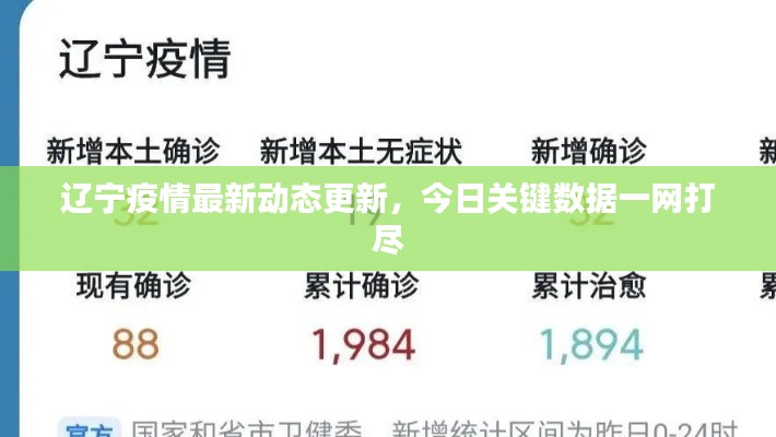 辽宁疫情最新动态更新，今日关键数据一网打尽