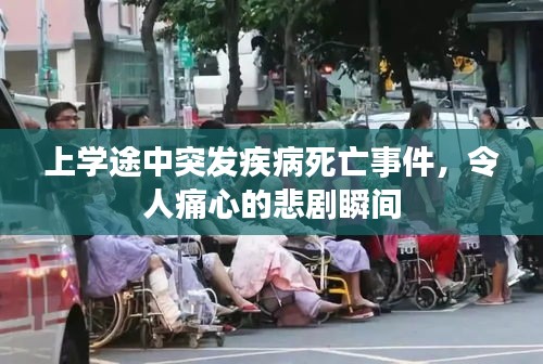 上学途中突发疾病死亡事件，令人痛心的悲剧瞬间