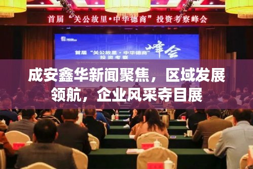 成安鑫华新闻聚焦，区域发展领航，企业风采夺目展
