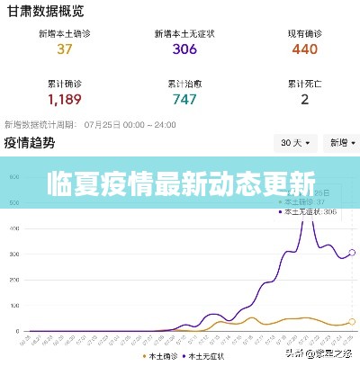 临夏疫情最新动态更新