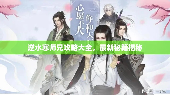 逆水寒师兄攻略大全，最新秘籍揭秘