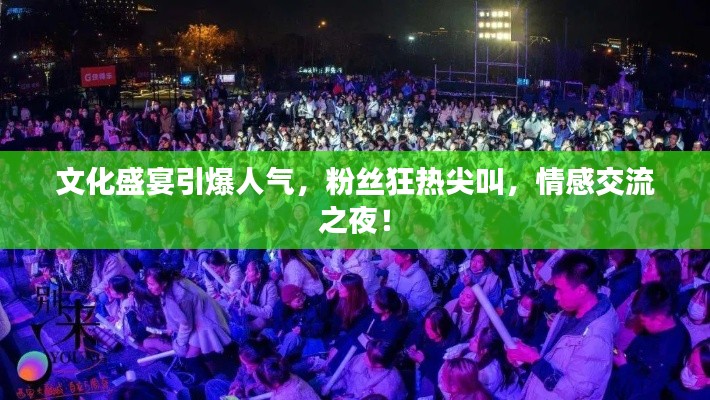 文化盛宴引爆人气，粉丝狂热尖叫，情感交流之夜！