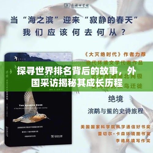 探寻世界排名背后的故事，外国采访揭秘其成长历程