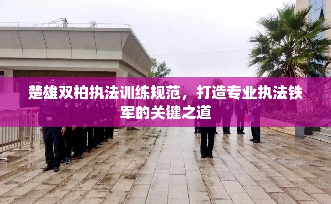 楚雄双柏执法训练规范，打造专业执法铁军的关键之道