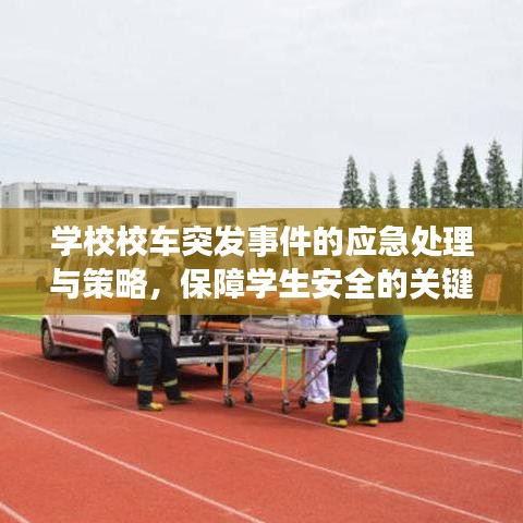 学校校车突发事件的应急处理与策略，保障学生安全的关键措施