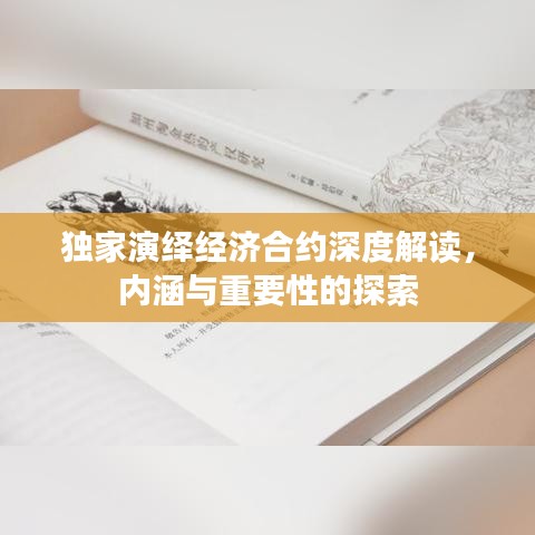 独家演绎经济合约深度解读，内涵与重要性的探索