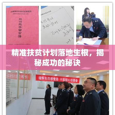 精准扶贫计划落地生根，揭秘成功的秘诀