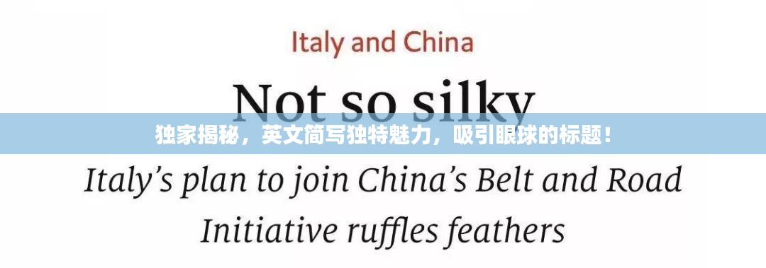 独家揭秘，英文简写独特魅力，吸引眼球的标题！
