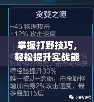 掌握打野技巧，轻松提升实战能力！