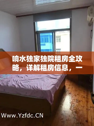 响水独家独院租房全攻略，详解租房信息，一览无余！