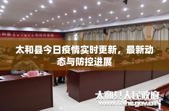 太和县今日疫情实时更新，最新动态与防控进展