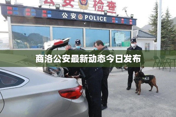 商洛公安最新动态今日发布