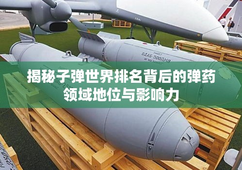 揭秘子弹世界排名背后的弹药领域地位与影响力