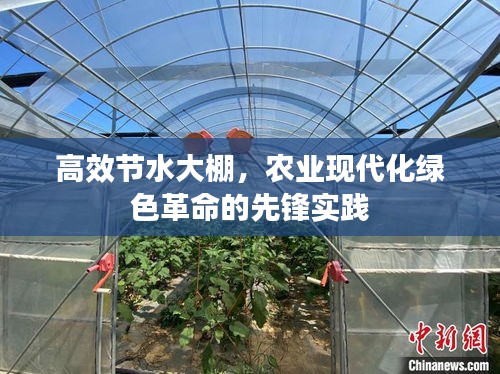 高效节水大棚，农业现代化绿色革命的先锋实践