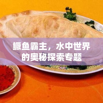 鳜鱼霸主，水中世界的奥秘探索专题