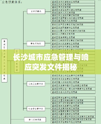 长沙城市应急管理与响应突发文件揭秘