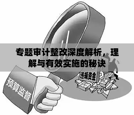 专题审计整改深度解析，理解与有效实施的秘诀