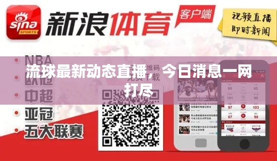 流球最新动态直播，今日消息一网打尽