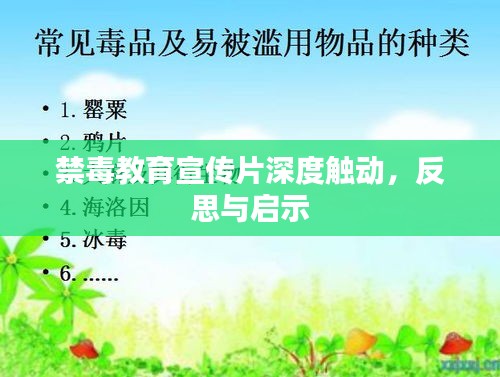 禁毒教育宣传片深度触动，反思与启示