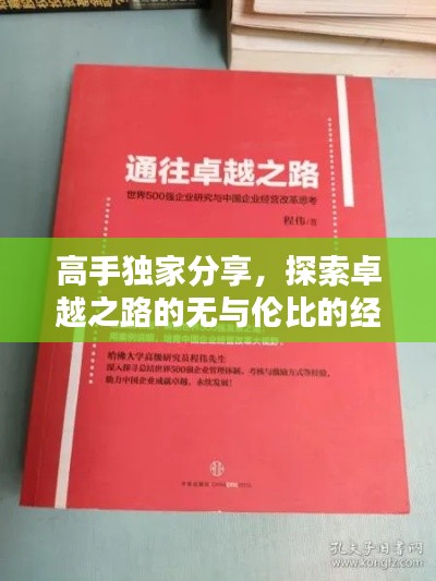 高手独家分享，探索卓越之路的无与伦比的经验心得