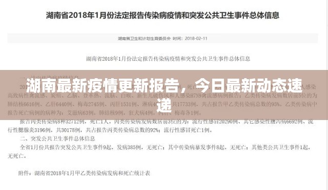 湖南最新疫情更新报告，今日最新动态速递