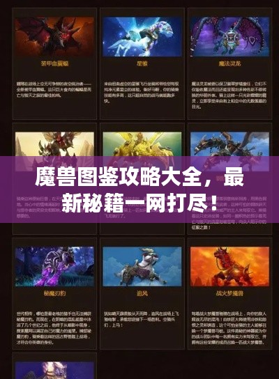 魔兽图鉴攻略大全，最新秘籍一网打尽！