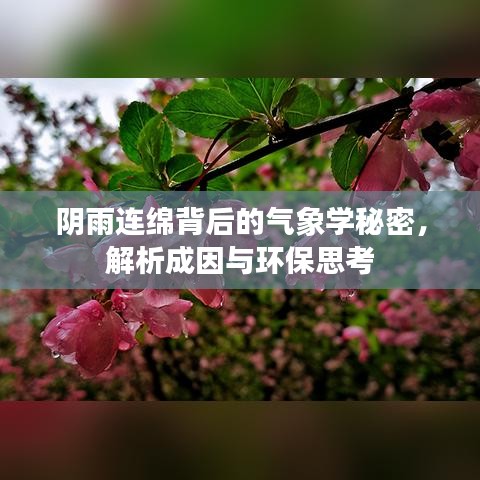 阴雨连绵背后的气象学秘密，解析成因与环保思考