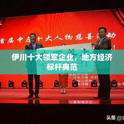 伊川十大领军企业，地方经济标杆典范