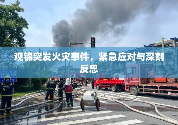 观锦突发火灾事件，紧急应对与深刻反思