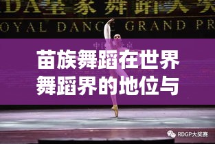 苗族舞蹈在世界舞蹈界的地位与排名解析