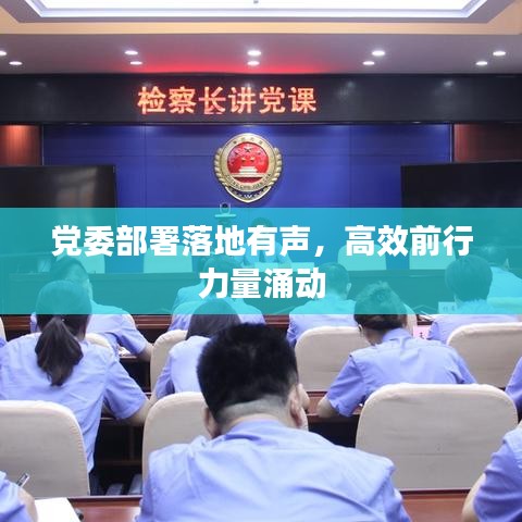 党委部署落地有声，高效前行力量涌动