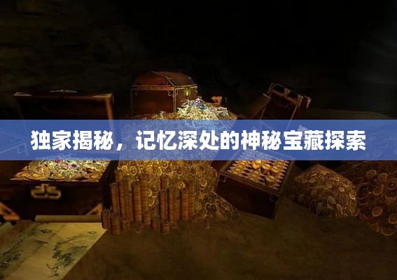 独家揭秘，记忆深处的神秘宝藏探索