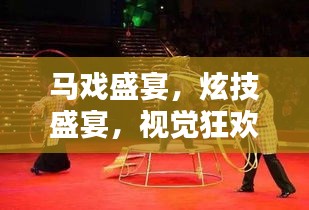马戏盛宴，炫技盛宴，视觉狂欢！