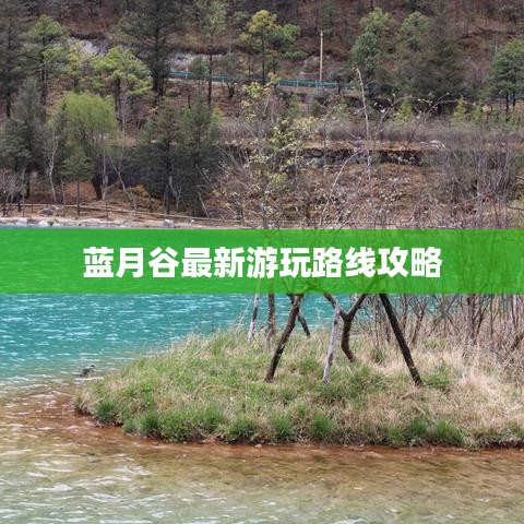分类 第8页