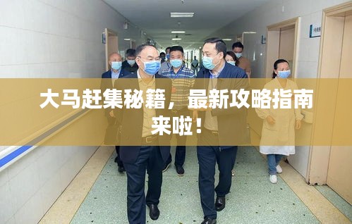大马赶集秘籍，最新攻略指南来啦！