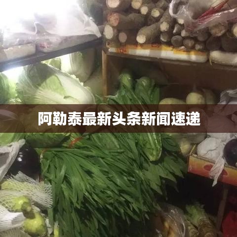 阿勒泰最新头条新闻速递