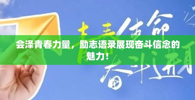 分类 第3页
