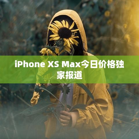 iPhone XS Max今日价格独家报道