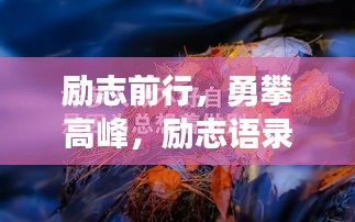 励志前行，勇攀高峰，励志语录鼓舞人心！