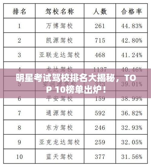 明星考试驾校排名大揭秘，TOP 10榜单出炉！